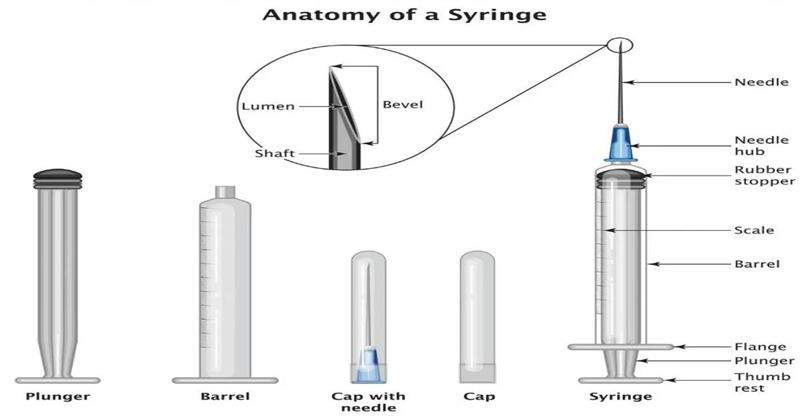 Anesthetic Needles in Dentistry: A Complete, Easy Guide