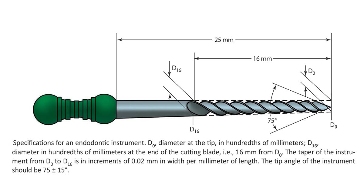 Components of an endodontic file