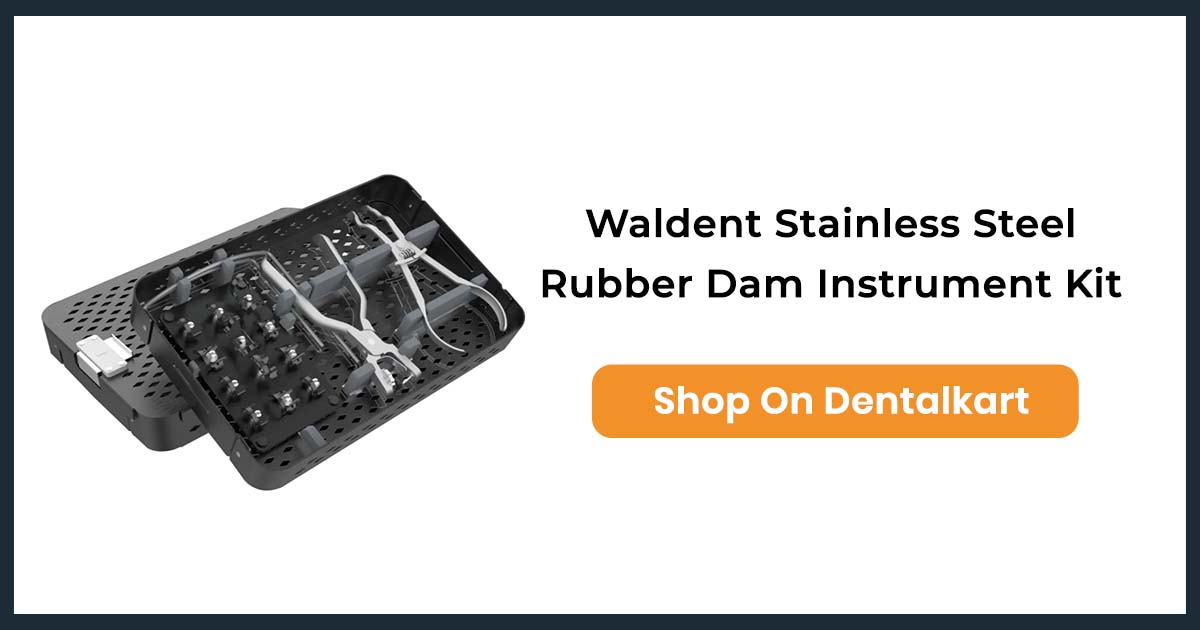 Waldent Stainless Steel Rubber Dam Instrument Kit