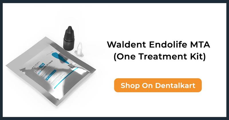 Waldent Endolife MTA (One Treatment Kit)