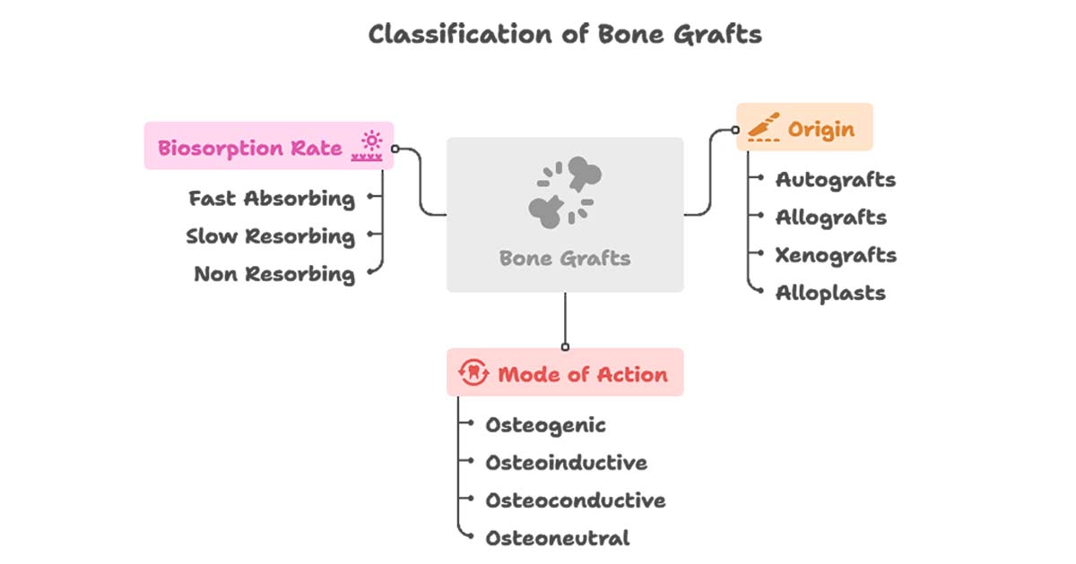 Classification of Bone Grafts