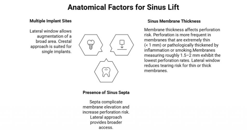anatomical factors for sinus lift